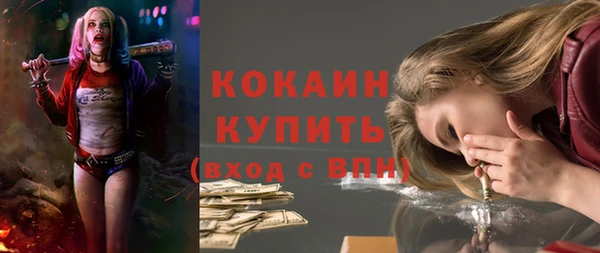 крисы Баксан