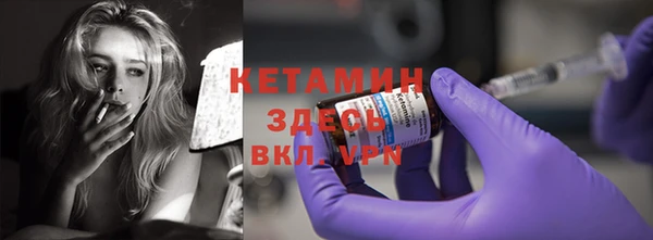 крисы Баксан