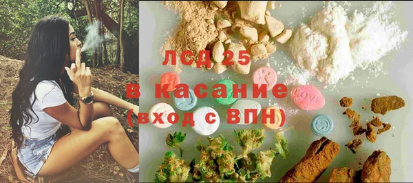 крисы Баксан