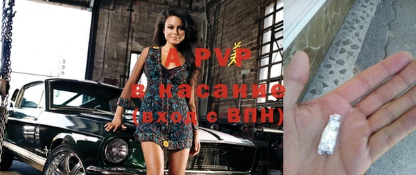 крисы Баксан