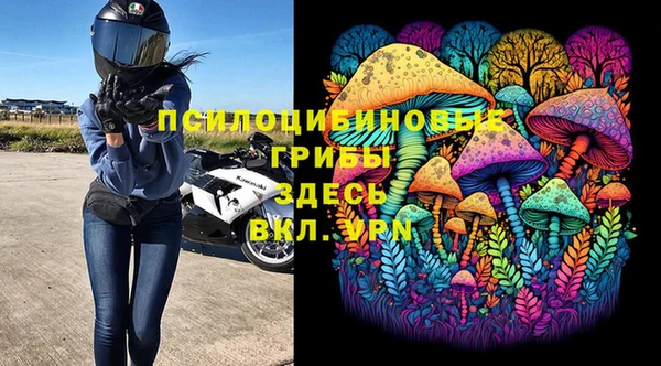 крисы Баксан