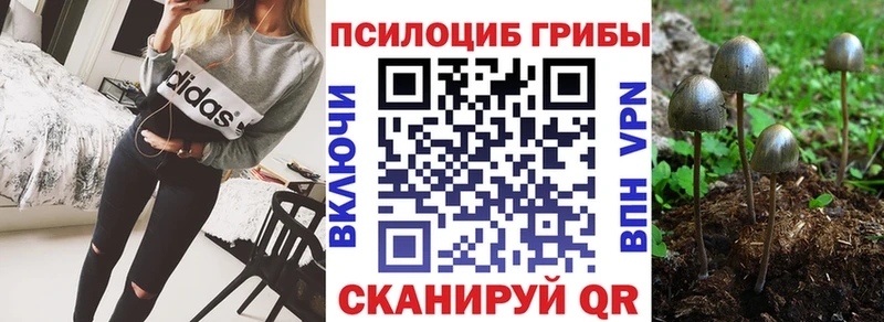 Галлюциногенные грибы Psilocybe  закладка  Набережные Челны 
